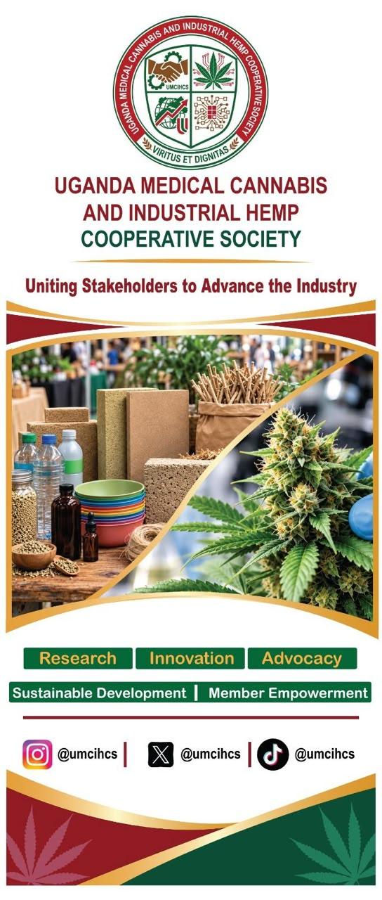 UMCIHCS brand artwork presenting research, innovation, advocacy, sustainable development and member empowerment